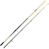 Lineaeffe Vigor Beach Caster 2 Fishing Rod