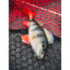 Fox Rage Realistic Perch Rep – Ultra-Realistic Lure for Pike Fishing Success