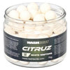 Nash Bait Citruz Special Edition - High-Attraction Carp Fishing Bait